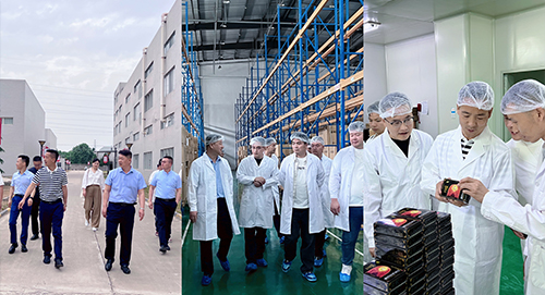 1746759539896825.jpg 6.jpg